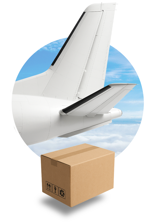Tail of Conquest Air Cargo aircraft with shipping box, symbolizing daily air freight service from Miami to Nassau and the Caribbean