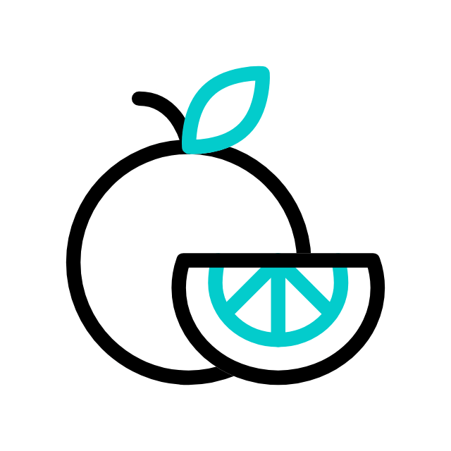 Icon of sliced fruit representing perishable and specialty cargo shipped by air between Miami and Nassau